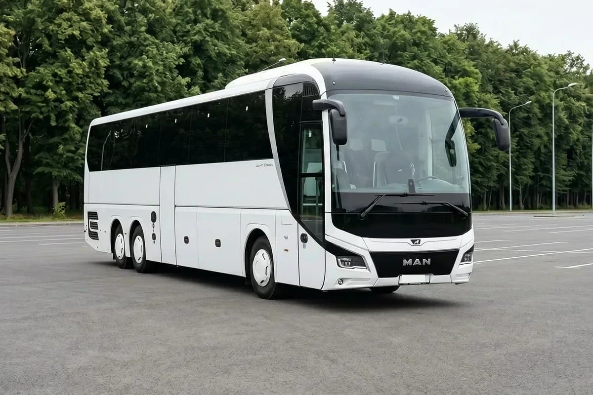 MAN R08 Lions Coach